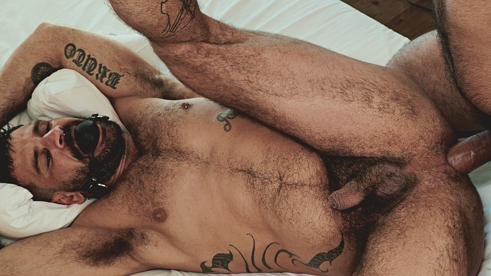 Horny Hotel Hookup